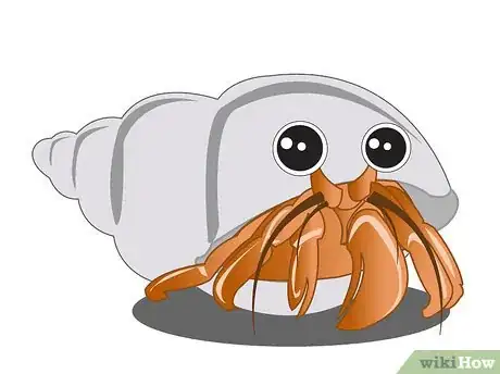 Image titled Draw a Hermit Crab Step 1