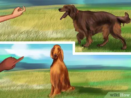 Image titled Care for an Irish Setter Step 4