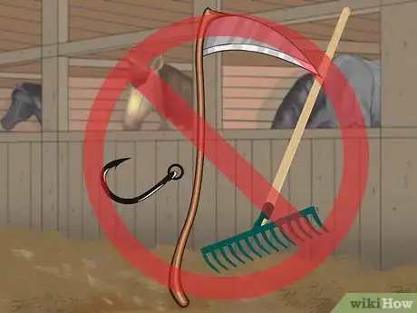 Image titled Care for a Blind Horse Step 3