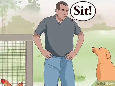 Image titled Introduce a Dog to Pet Chickens Step 13