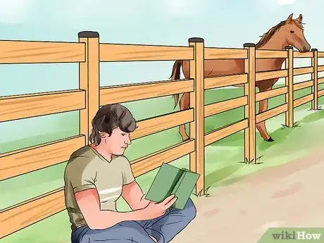 Image titled Be Comfortable Around a Bad‐Tempered Horse Step 9