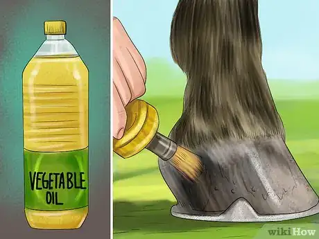 Image titled Keep a Horse Clean on a Budget Step 4