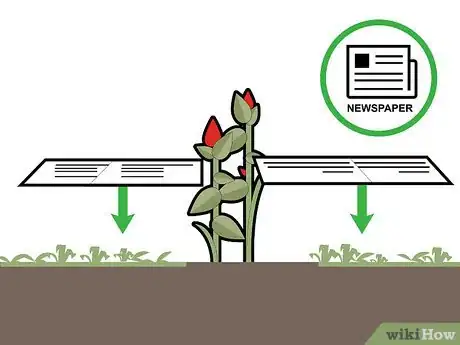 Image titled Kill Grass Invading a Flower Bed Step 1