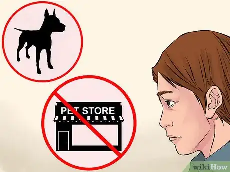 Image titled Buy a Doberman Pinscher Puppy Step 1