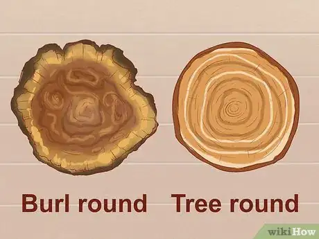 Image titled Make a Live Edge Hanging Table Step 1