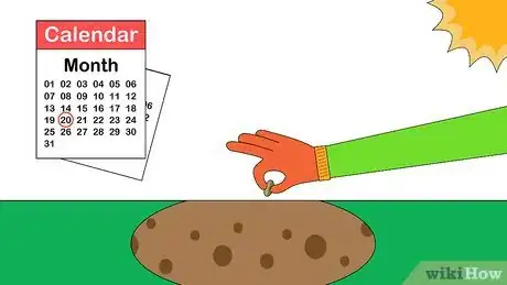 Image titled Plant Tritoma Step 5