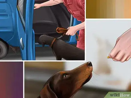 Image titled Prevent Your Dog from Becoming Carsick Step 2