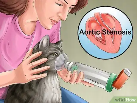 Image titled Take Care of an Oriental Cat Step 11