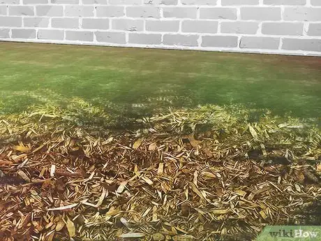 Image titled Get Rid of Bumble Bee Nests in the Ground Step 11