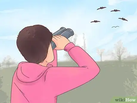 Image titled Encourage Doves to Coo Step 8