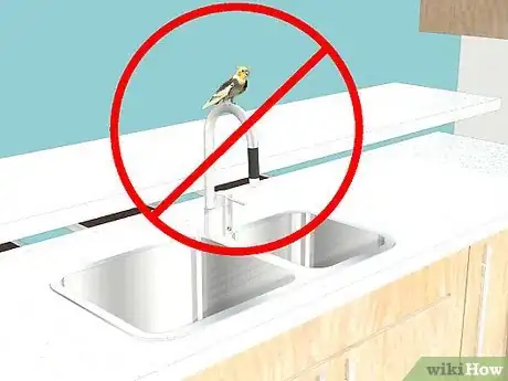 Image titled Keep a Cockatiel Healthy Step 8
