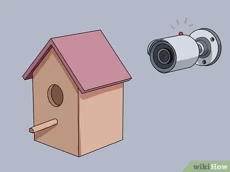Image titled Monitor Nestboxes Step 9
