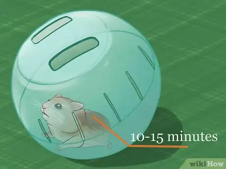 Image titled Have Fun With Your Hamster Step 18