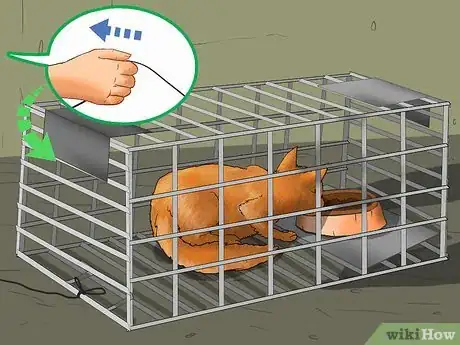 Image titled Earn the Trust of a Feral Kitten Step 4