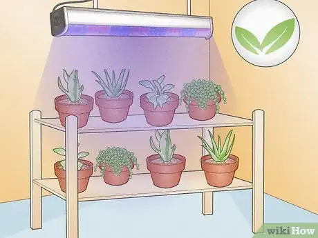 Image titled Do LED Grow Lights Need a Ballast Step 5