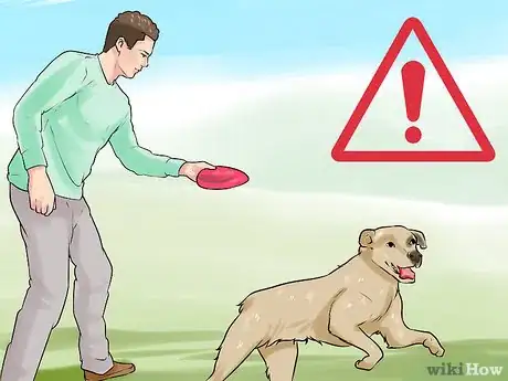 Image titled Modify Tricks Based on an Old Dog's Physical Limitations Step 3