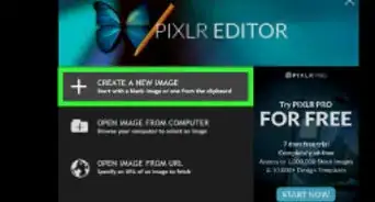 Create an Infographic