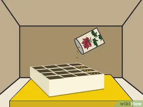 Image titled Grow Chrysanthemums Step 07