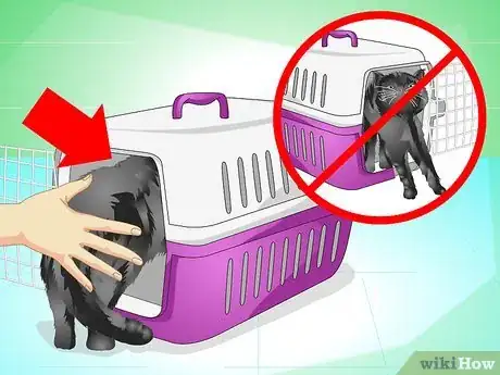 Image titled Introduce a Cat to a New Home Step 10