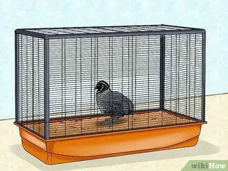 Image titled Choose a Quail Step 7