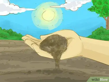 Image titled Choose Japanese Maple Trees Step 4