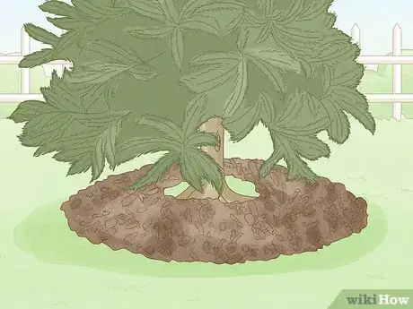 Image titled Cover a Tree Base Step 6