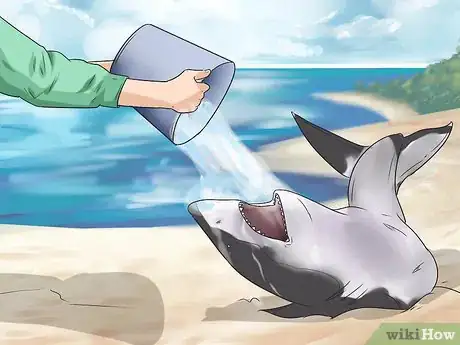 Image titled Care for a Beached Animal Step 9