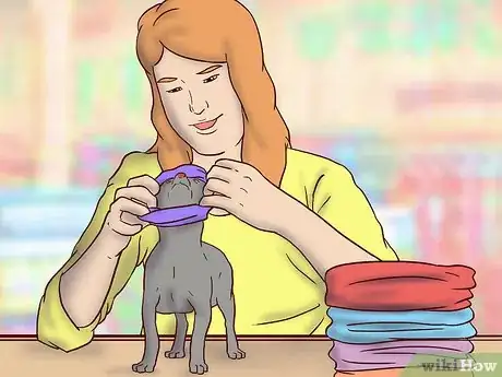 Image titled Choose a Good Dog Sweater Step 6