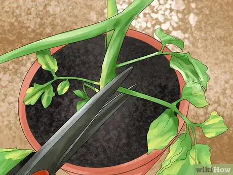 Image titled Harvest Herbs Step 11