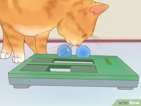 Image titled Keep Your Pets Happy Step 10