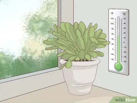 Image titled Make an Easter Cactus Bloom Step 5