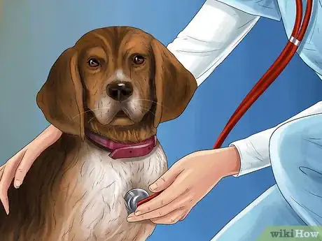 Image titled Treat a Dog with Osteosarcoma Step 2