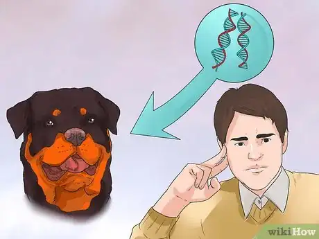 Image titled Diagnose Arthritis in Rottweilers Step 10