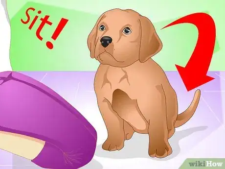 Image titled Discipline a New Puppy Step 7