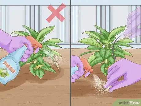 Image titled Does Vinegar Work for Slug Control Step 2