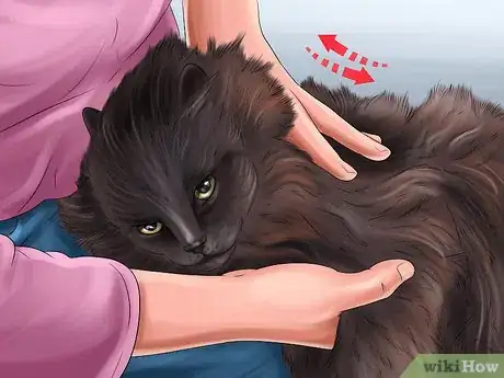 Image titled Administer Injectable Medication to a Cat Step 8