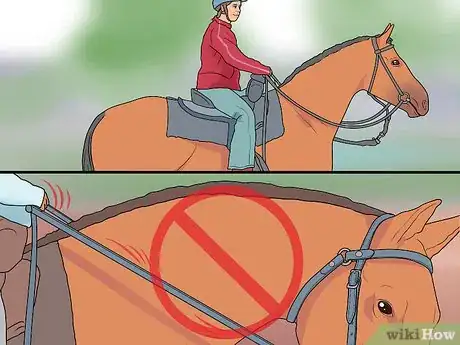 Image titled Stop a Horse Rearing Step 10