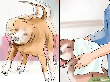 Image titled Groom a Hyper Dog Step 14