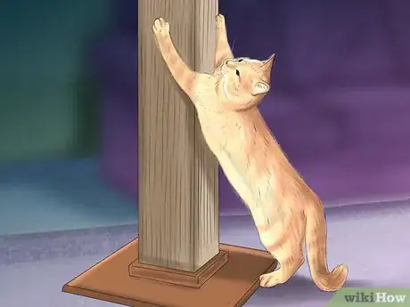 Image titled Hide Treats for Your Cat Step 3