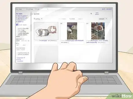 Image titled Run a Guinea Pig Rescue Step 21