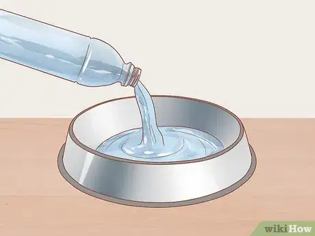 Image titled Keep Your Pets Happy Step 12