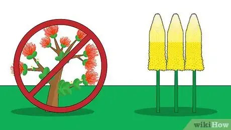 Image titled Plant Eremurus Step 4