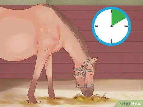 Image titled Ride a Horse in the Winter Step 15