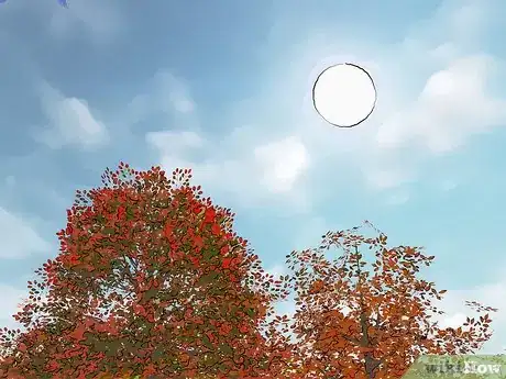 Image titled Photograph Autumn Step 2