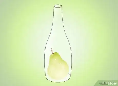 Image titled Get a Pear Into a Wine Bottle Step 21