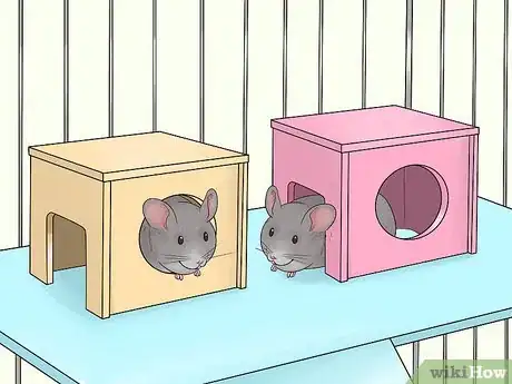Image titled Keep Chinchillas Safe from other Pets Step 2