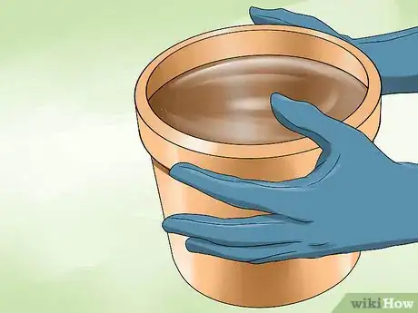 Image titled Remove Health Hazards from Your Backyard Step 12