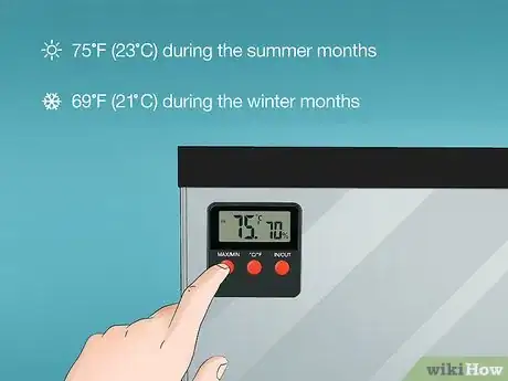 Image titled Care for a Chilean Rose Tarantula Step 11