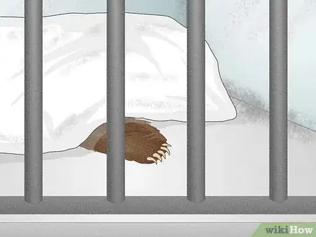 Image titled Help Animals in Zoos Step 11