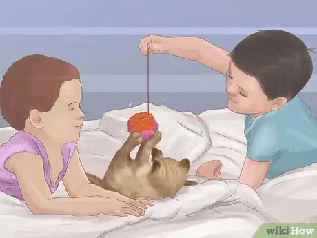 Image titled Socialize Your Kitten Step 12